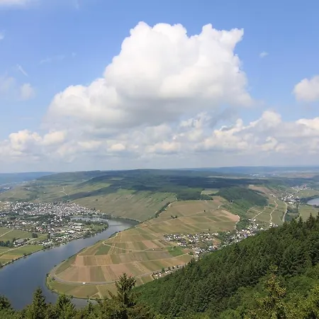 Weingut Jorg Thul *