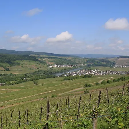 Privatunterkunft Weingut Jorg Thul Detzem