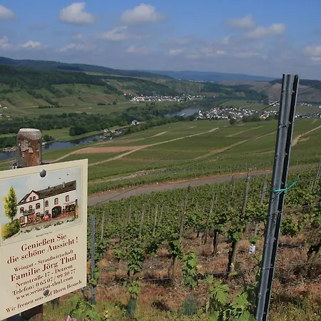 Weingut Jorg Thul * Detzem