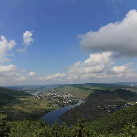 Weingut Jorg Thul Privatunterkunft *