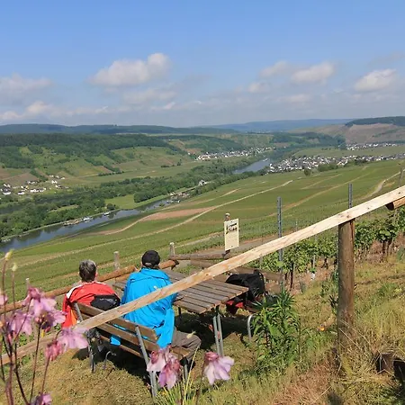Weingut Jorg Thul